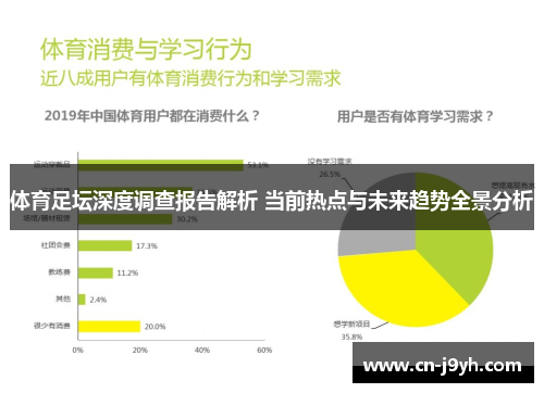 体育足坛深度调查报告解析 当前热点与未来趋势全景分析