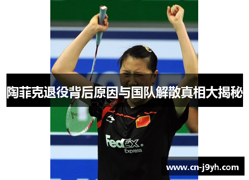 陶菲克退役背后原因与国队解散真相大揭秘